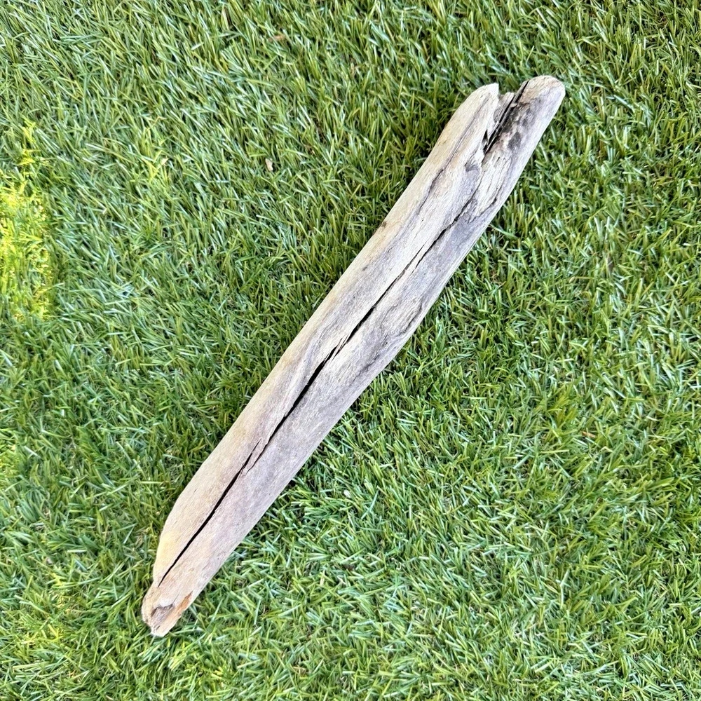 2 Natural Driftwood Pieces California Coast Rustic Beach Decor Aquarium Art